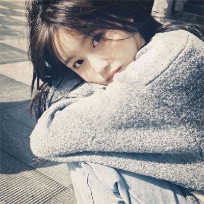 驯龙高手：归家